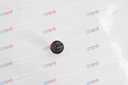 Nozzle CN1100