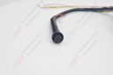 Torque Display