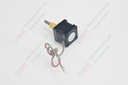 screw motor