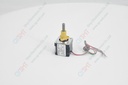 screw motor