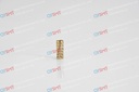 Ball Cage Bearing