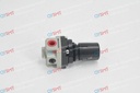 REGULATOR