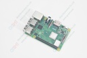 Development board