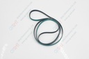 Flat Belt 1.3TX6WX895L